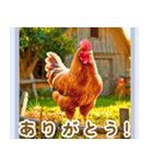 世界の鳥図鑑 2:日本語（個別スタンプ：21）