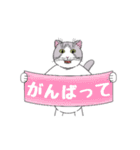 最愛猫4（個別スタンプ：10）