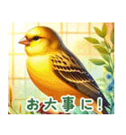 世界の鳥図鑑 1:日本語（個別スタンプ：14）