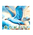 世界の鳥図鑑 1:日本語（個別スタンプ：20）