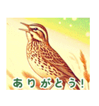 世界の鳥図鑑 1:日本語（個別スタンプ：22）