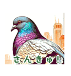 世界の鳥図鑑 1:日本語（個別スタンプ：26）