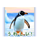 世界の鳥図鑑 1:日本語（個別スタンプ：29）