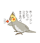 オカメインコのかわいさ（個別スタンプ：1）