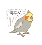 オカメインコのかわいさ（個別スタンプ：4）