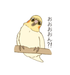 オカメインコのかわいさ（個別スタンプ：5）