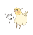 オカメインコのかわいさ（個別スタンプ：7）