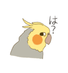 オカメインコのかわいさ（個別スタンプ：8）