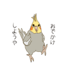 オカメインコのかわいさ（個別スタンプ：10）