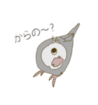 オカメインコのかわいさ（個別スタンプ：11）