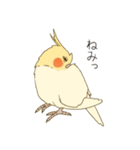 オカメインコのかわいさ（個別スタンプ：12）