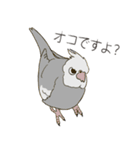 オカメインコのかわいさ（個別スタンプ：13）