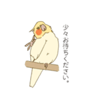 オカメインコのかわいさ（個別スタンプ：15）