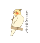 オカメインコのかわいさ（個別スタンプ：16）