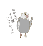 オカメインコのかわいさ（個別スタンプ：17）
