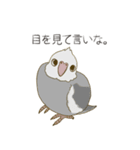 オカメインコのかわいさ（個別スタンプ：19）