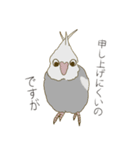 オカメインコのかわいさ（個別スタンプ：20）