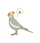 オカメインコのかわいさ（個別スタンプ：21）