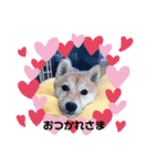 悶絶うーさんスタンプ（個別スタンプ：3）