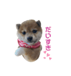 悶絶うーさんスタンプ（個別スタンプ：4）