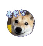 悶絶うーさんスタンプ（個別スタンプ：12）