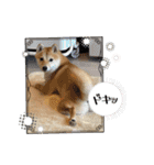 悶絶うーさんスタンプ（個別スタンプ：21）