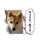 悶絶うーさんスタンプ（個別スタンプ：28）