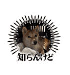 悶絶うーさんスタンプ（個別スタンプ：30）