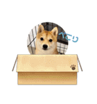 悶絶うーさんスタンプ（個別スタンプ：31）
