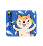 柴犬さん（3色）の日常使い（個別スタンプ：10）