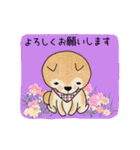 柴犬さん（3色）の日常使い（個別スタンプ：21）