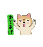 柴犬さん（3色）の日常使い（個別スタンプ：36）