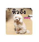 タイ語でラムちゃ（個別スタンプ：14）