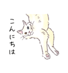 みどりさんちの猫さんたち（個別スタンプ：2）