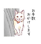 みどりさんちの猫さんたち（個別スタンプ：9）