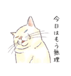 みどりさんちの猫さんたち（個別スタンプ：12）