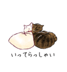 みどりさんちの猫さんたち（個別スタンプ：24）