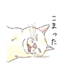 みどりさんちの猫さんたち（個別スタンプ：37）