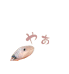 我が家のウーパールーパーの便利スタンプ！（個別スタンプ：3）