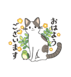 猫もず日常スタンプ（個別スタンプ：6）