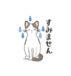 猫もず日常スタンプ（個別スタンプ：12）