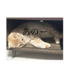 ちゃぴもかすみこ第3弾（個別スタンプ：14）