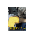 ちゃぴもかすみこ第3弾（個別スタンプ：15）