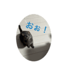 ちゃぴもかすみこ第3弾（個別スタンプ：18）