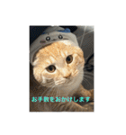 ちゃぴもかすみこ第3弾（個別スタンプ：23）
