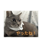 ちゃぴもかすみこ第3弾（個別スタンプ：24）