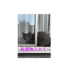 ちゃぴもかすみこ第3弾（個別スタンプ：32）