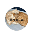 ちゃぴもかすみこ第3弾（個別スタンプ：34）