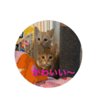 ちゃぴもかすみこ第3弾（個別スタンプ：37）