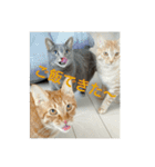 ちゃぴもかすみこ第3弾（個別スタンプ：39）
